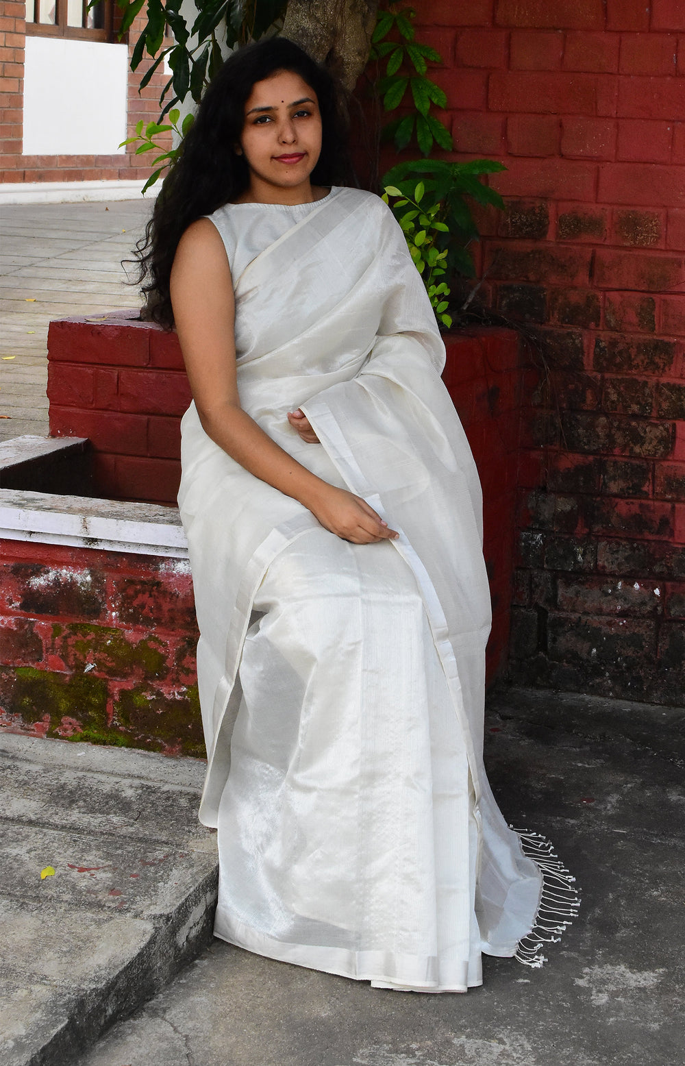 White  Tissue  Organic Cotton Saree