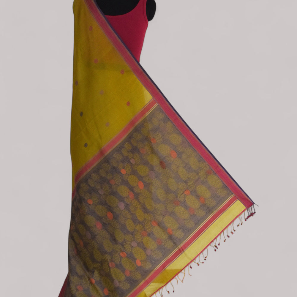 
                      
                        Olive Green - Cactus Motif Organic Cotton Saree
                      
                    